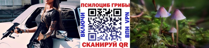 Псилоцибиновые грибы Psilocybine cubensis  Отрадное 